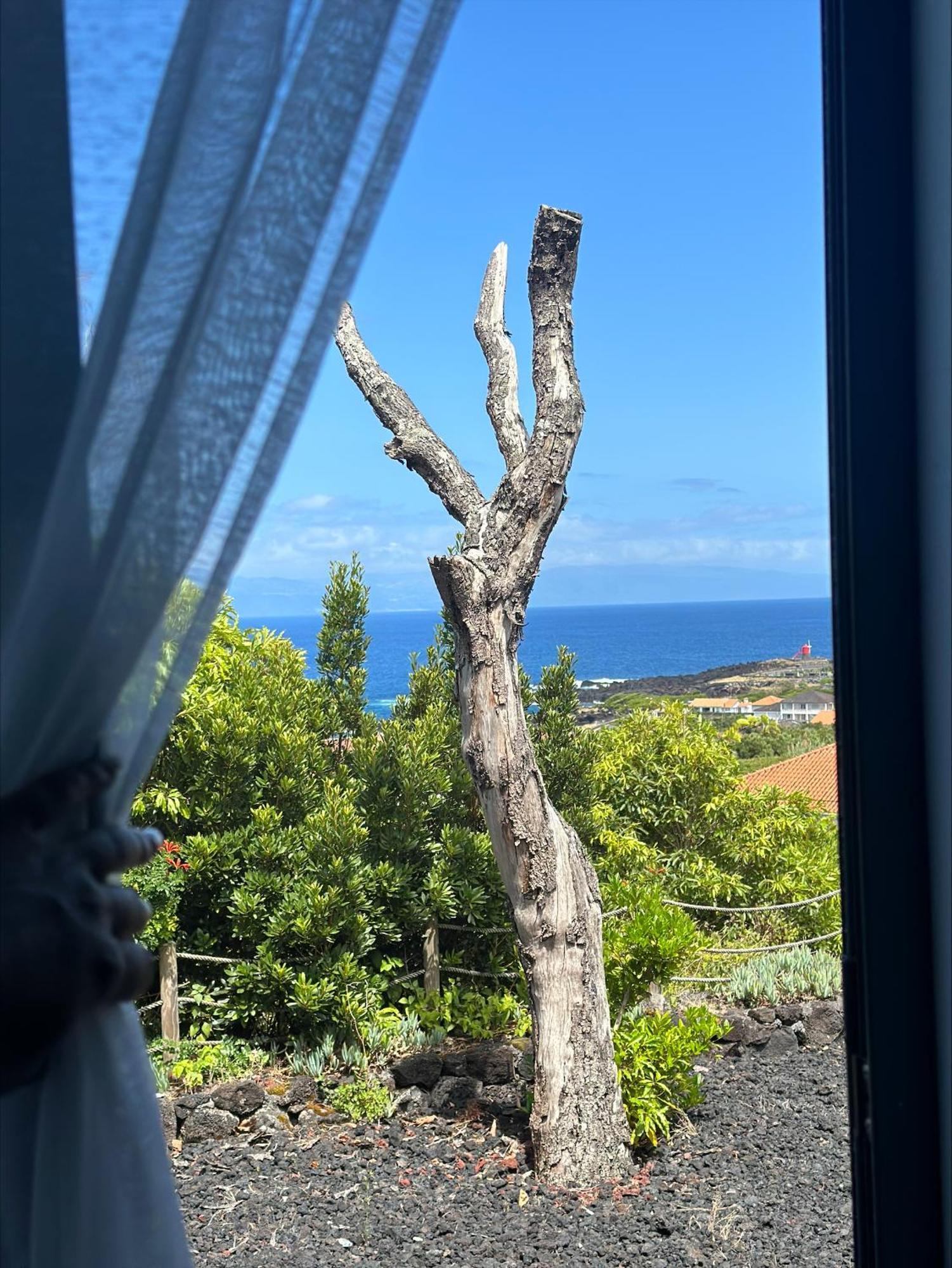 Villa 4 Seasons São Roque do Pico Екстериор снимка